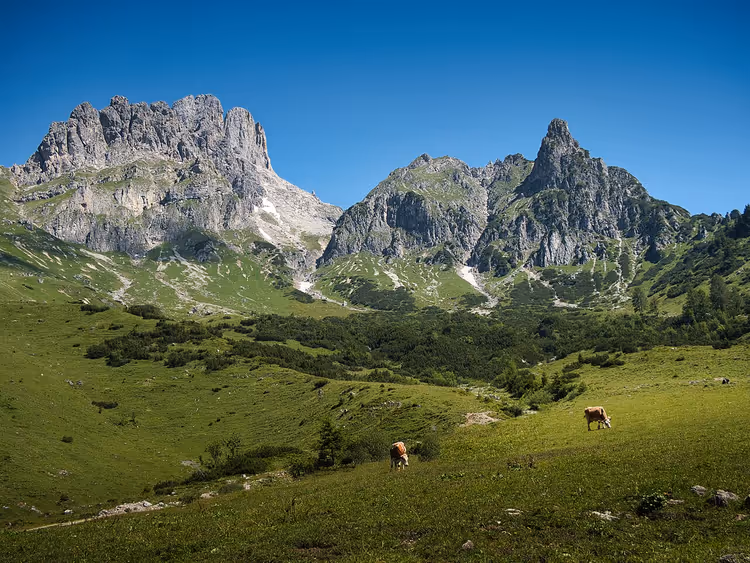 Alpine enger og klippefjell i Filzmoos