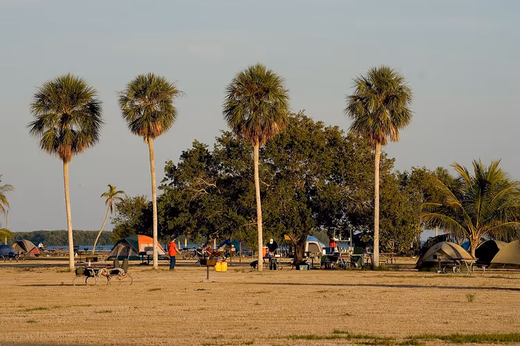 Tentenkamp tussen palmbomen in het park