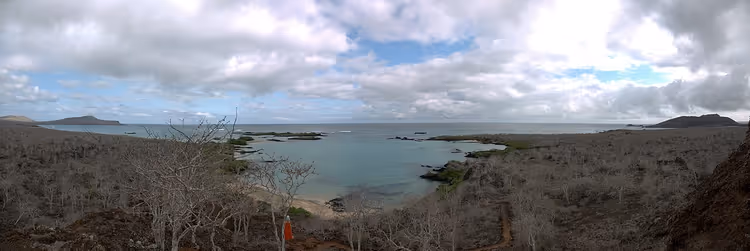 Kurak bitki örtüsüyle Floreana Koyu'nun panoraması