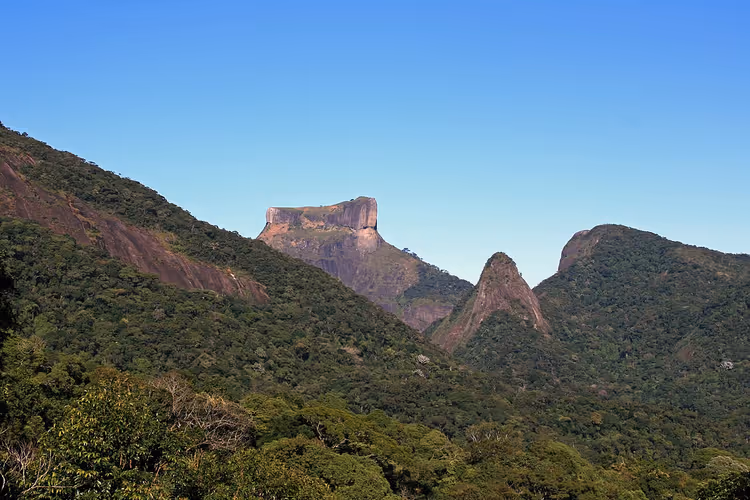 Montañas boscosas y picos rocosos del Parque de Tijuca