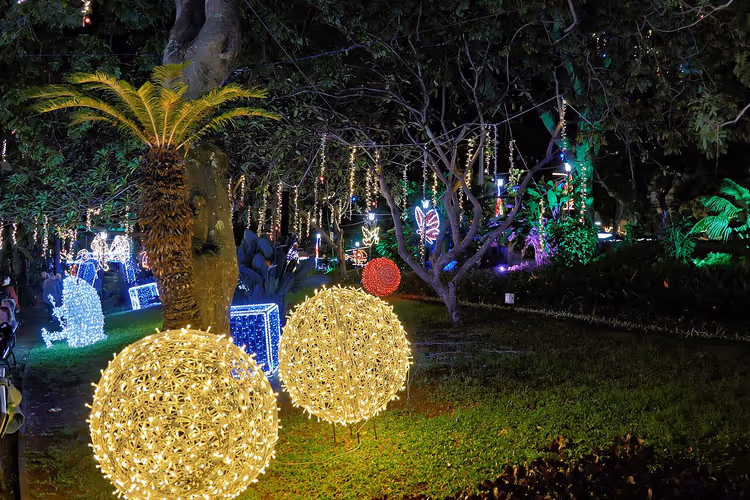 Festliche Lichter in den Straßen Madeiras