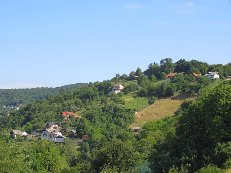Groene heuvels met huizen en een wijngaard in Slovenië