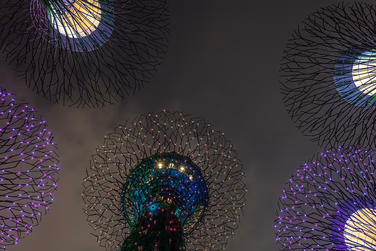 Singapur'daki ışıldayan Supertree'lerin gece görünümü