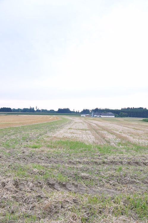 Feld und Bauernhof in der österreichischen Landschaft