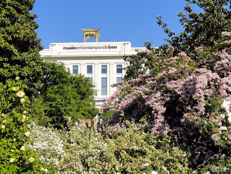 Fasaden til Museet for samtidskunst bak en blomsterhage
