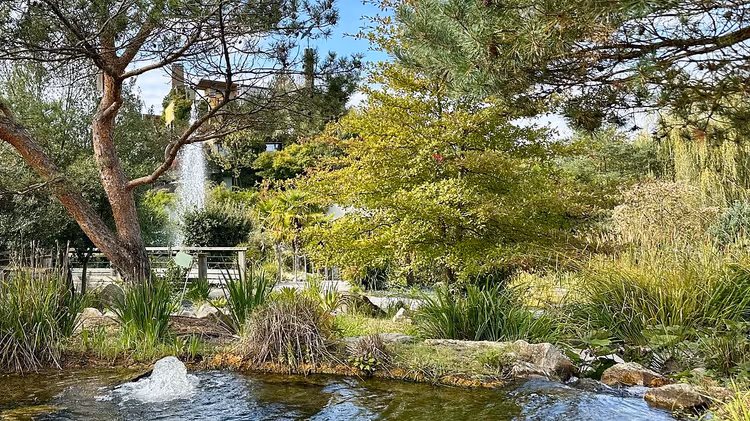 Geiser en vijver in de tuinen van Villages Nature Paris