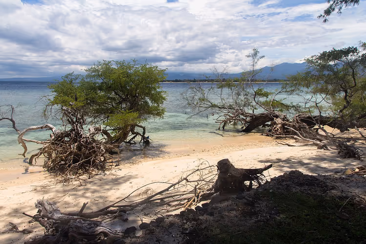 Gili Meno-stranden med drivved og turkisblått vann