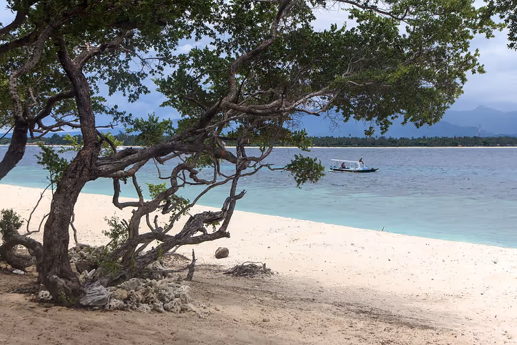 Tropischer Strand auf Gili Meno mit einem Baum und einem Boot