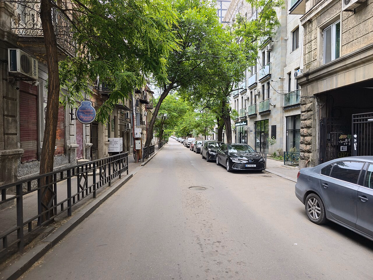 Strada ombreggiata con case antiche a Tbilisi
