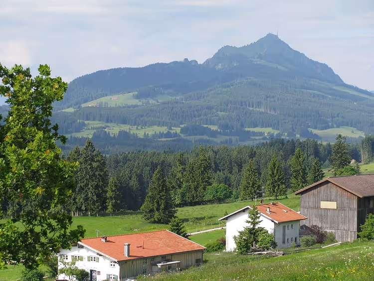 Grünten und Häuser zwischen grünen Wiesen