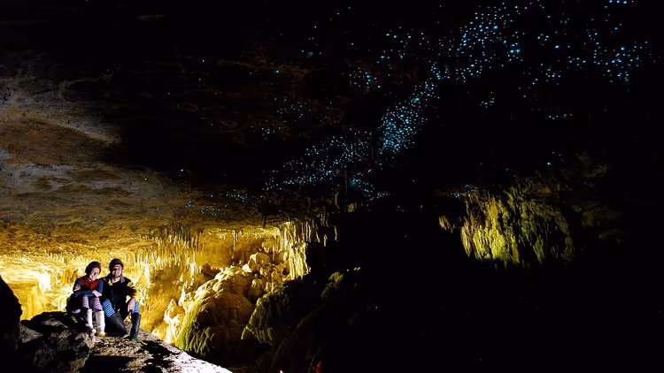 Glimwormen en stalactieten in de Waitomo-grot