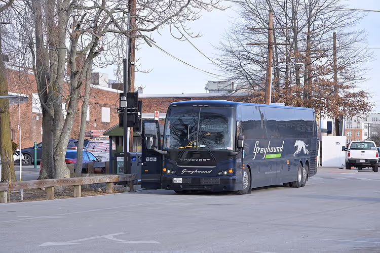 Donkerblauwe Greyhound-bus op een stadsstraat