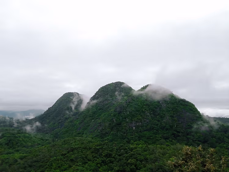 Montagne verdi tra le nuvole, foresta pluviale tropicale dell'Indonesia