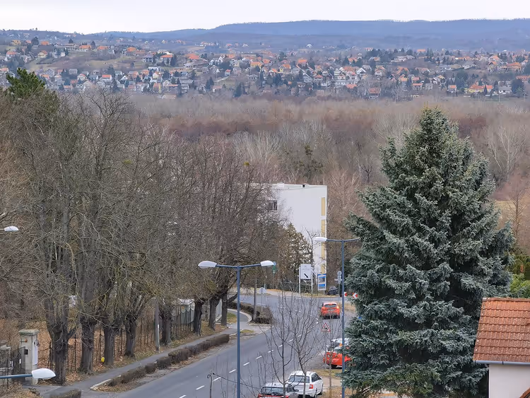 Панорамный вид на город Хевиз с холма и деревьями