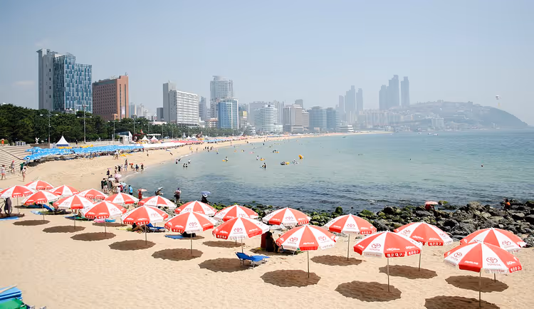 Haeundae-stranden med paraplyer og skyskrapere i Busan
