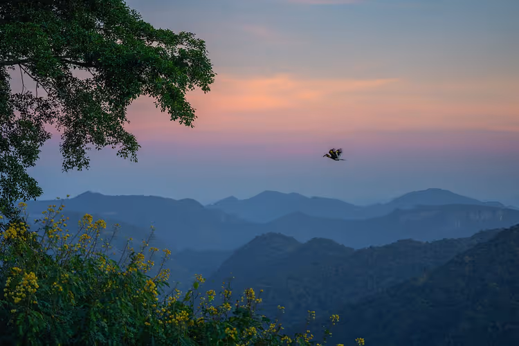 Sonnenuntergang über den bewaldeten Bergen Thailands