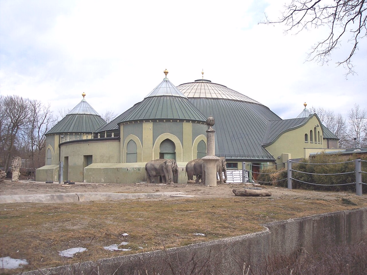 Olifanten bij het koepelvormige olifantenverblijf van dierentuin Hellabrunn