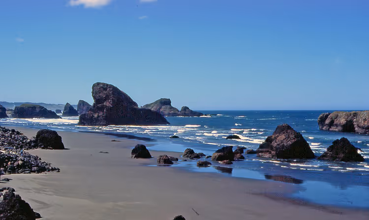 Hidden Beach in Redwood Park