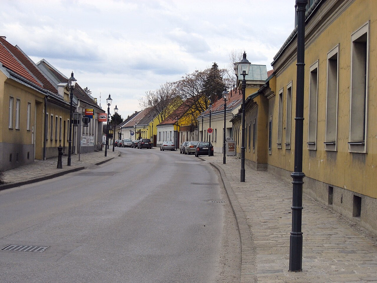 Rue tranquille aux maisons jaunes à Hirschstetten