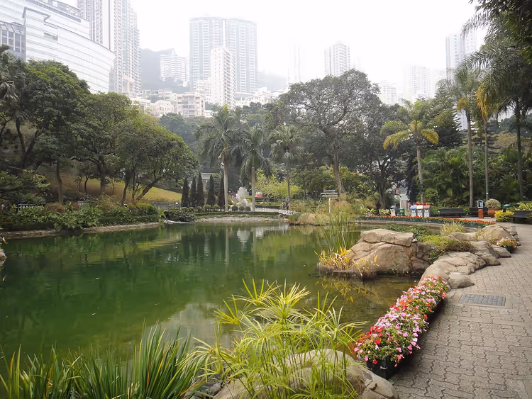 Hong Kong Parkı'nda kayalar ve çiçeklerle bezeli gölet