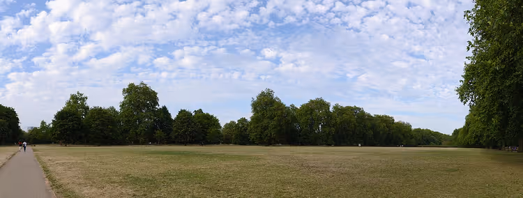 Een gazon met bomen en een pad in het park