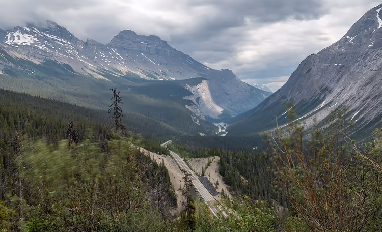 Dağlar ve orman arasında Icefields Parkway