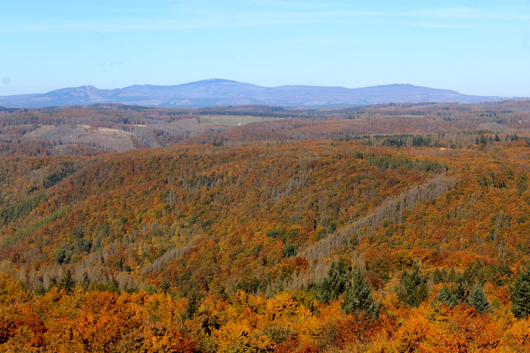 Herbstwälder des Harzes und das Brockenmassiv in der Ferne