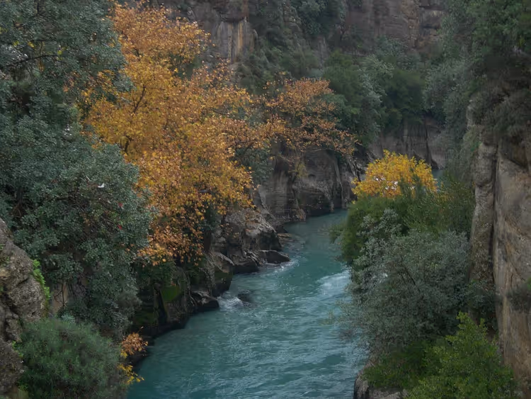 Köprülü-Kanyon mit Fluss und Wald