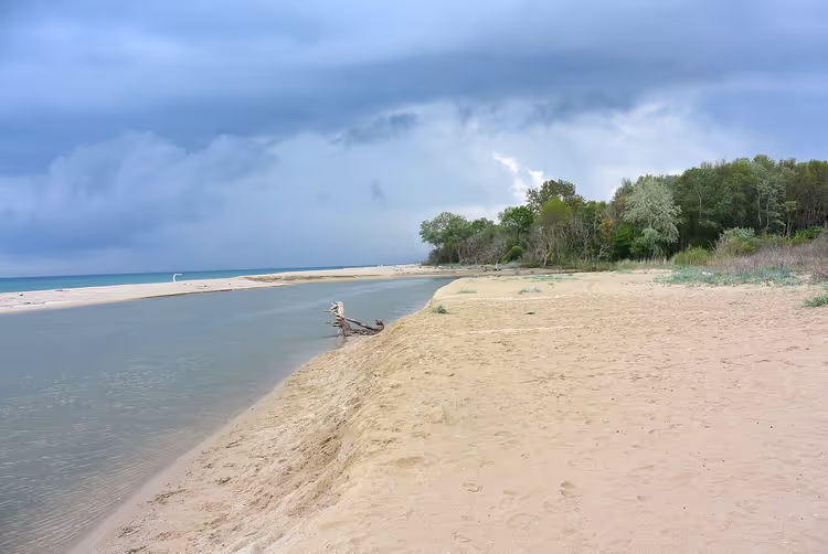 Monding van de Kamtsjiarivier met zandige oever en bos