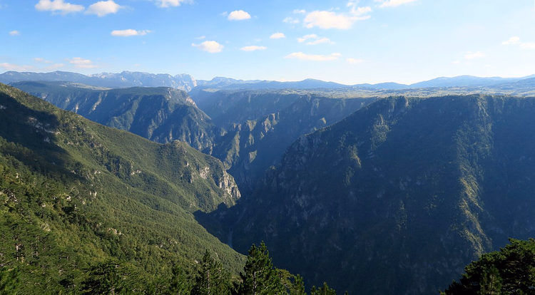 Panorama des tief bewaldeten Tara-Canyons