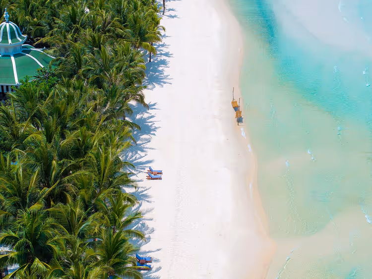 Palmiye ağaçları ve turkuaz suyla Phu Quoc plajı