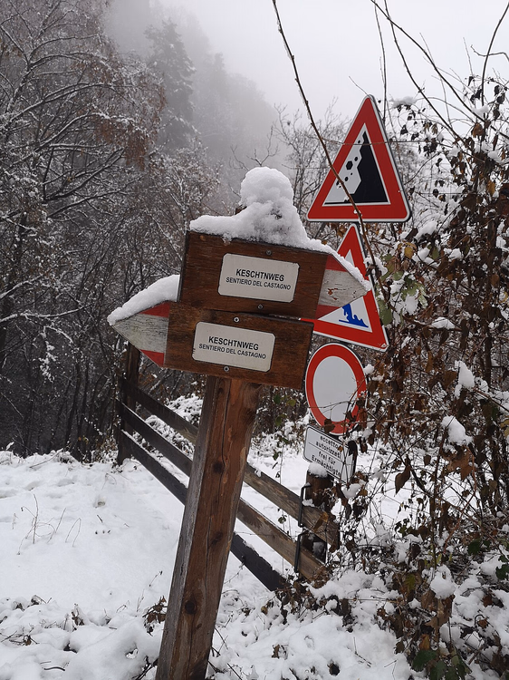 Cartel del sendero Keschtnweg cubierto de nieve en el bosque