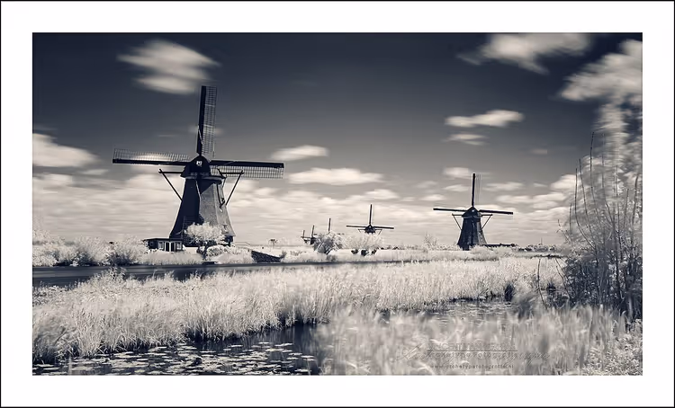 Kinderdijk'in su kenarındaki yel değirmenleri