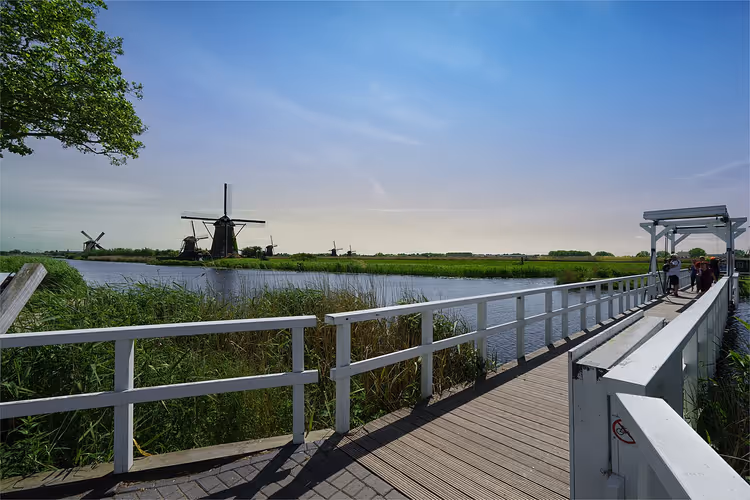 Kinderdijk-Windmühlen am Kanal mit Schilf