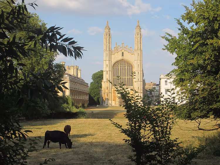 King's College Chapel i Cambridge sett fra engen