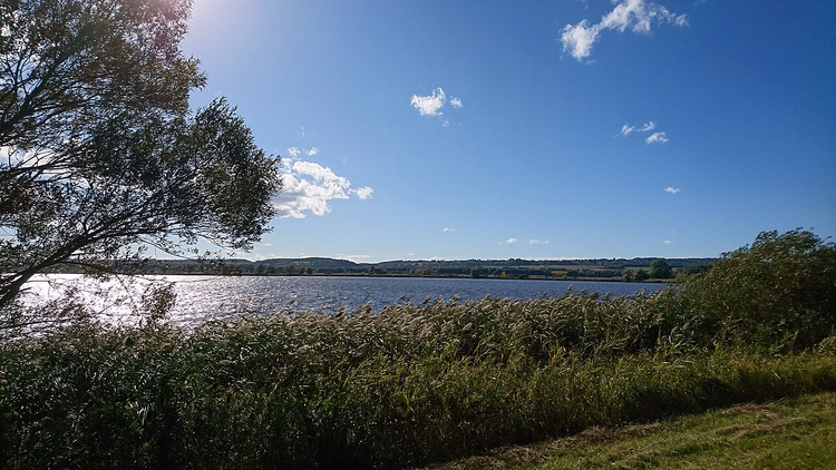 Canneti e superficie dell'acqua del Kis-Balaton