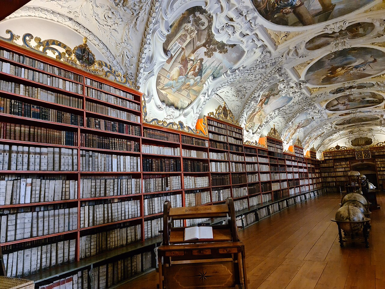 Bookshelves and painted ceiling of the Theological Hall