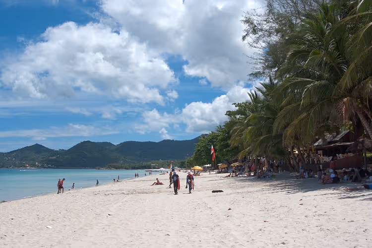 Hvit sandstrand med palmer på Koh Samui