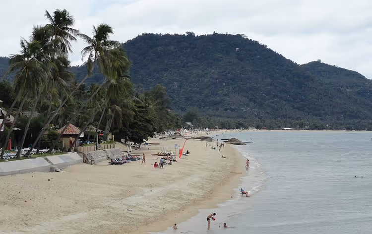 Lamai Beach with palm trees and a mountain