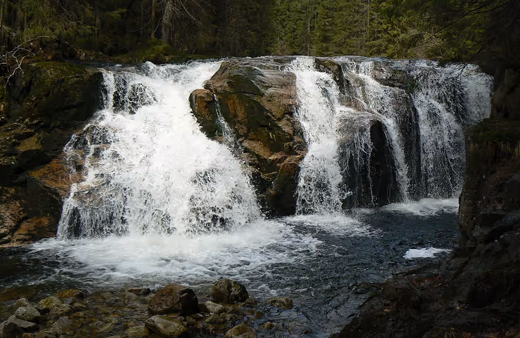 Cascata nei Monti dei Giganti tra la foresta di conifere