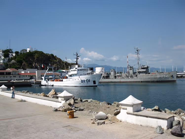 Manzanillo limanında bir tepenin önünde donanma gemileri