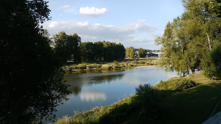 Rio Loire com margens verdes e árvores