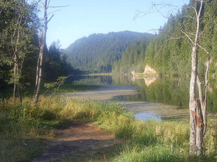 Fjellvann blant granskog og steiner