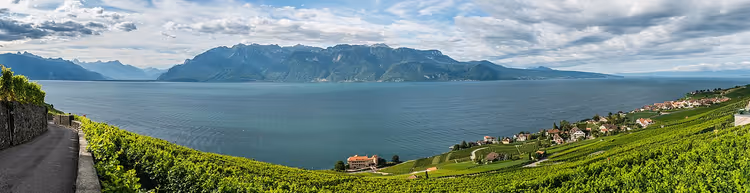 Wijnterrassen van Lavaux boven het Meer van Genève