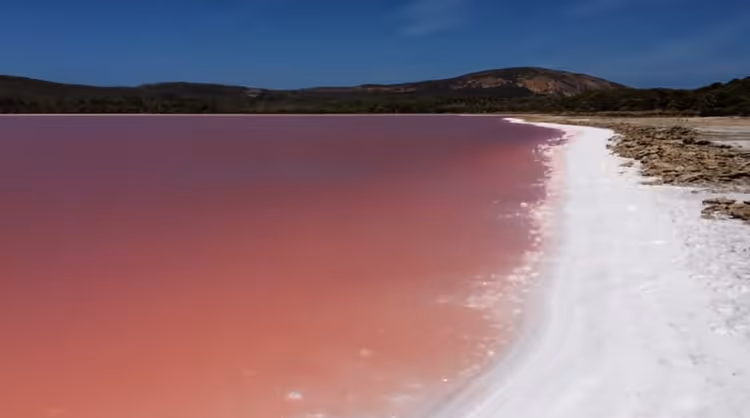 Hillier Gölü'nün pembe suyu ve beyaz tuz kıyısı