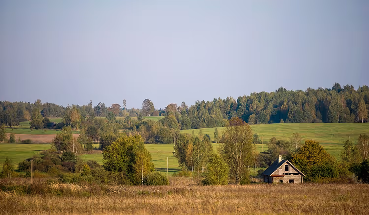 Feld, Wald, Holzhaus, Sommerhimmel