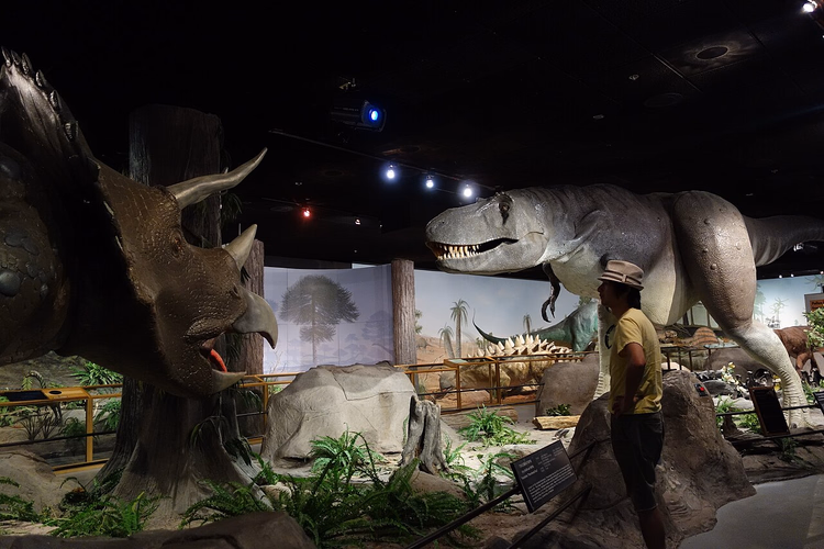 Triceratops- en Tyrannosaurus rex-modellen in een museumzaal