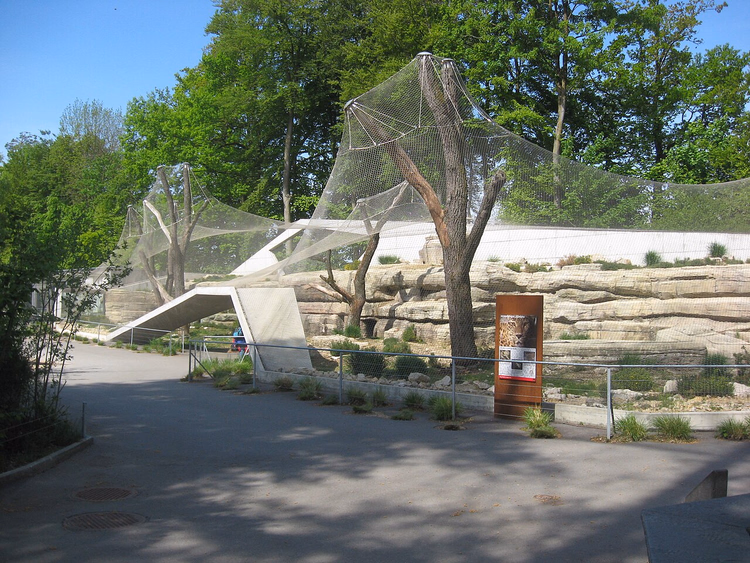 Leopardanlegg under nett i Berns dyrepark