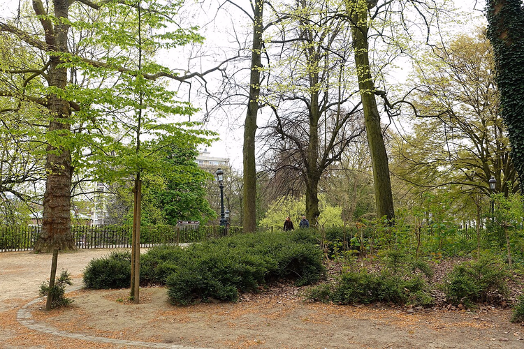 Voorjaarsbomen en paden in het Leopoldpark
