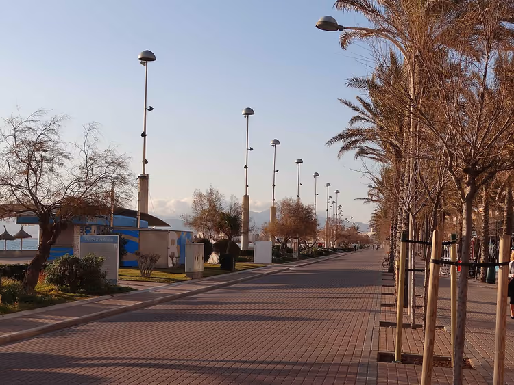Palmekantet promenade med gatelys på Playa de Palma